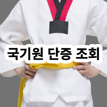 국기원 단증 조회 방법 및 발급으로 어릴적 단증 찾기 국기원 단증 조회 방법 및 발급으로 어릴적 단증 찾기