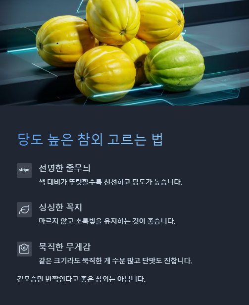 당도 높은 참외 고르는 법