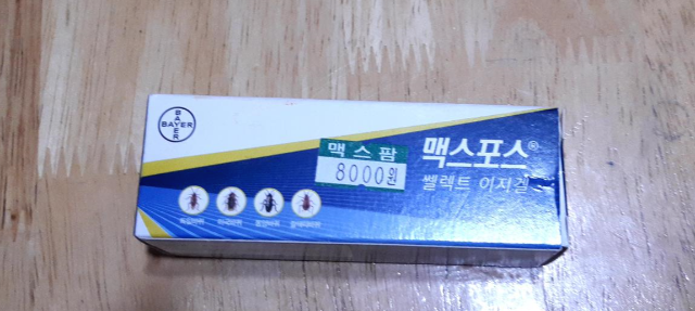  맥스포스 겔 사용후기 + 가격
