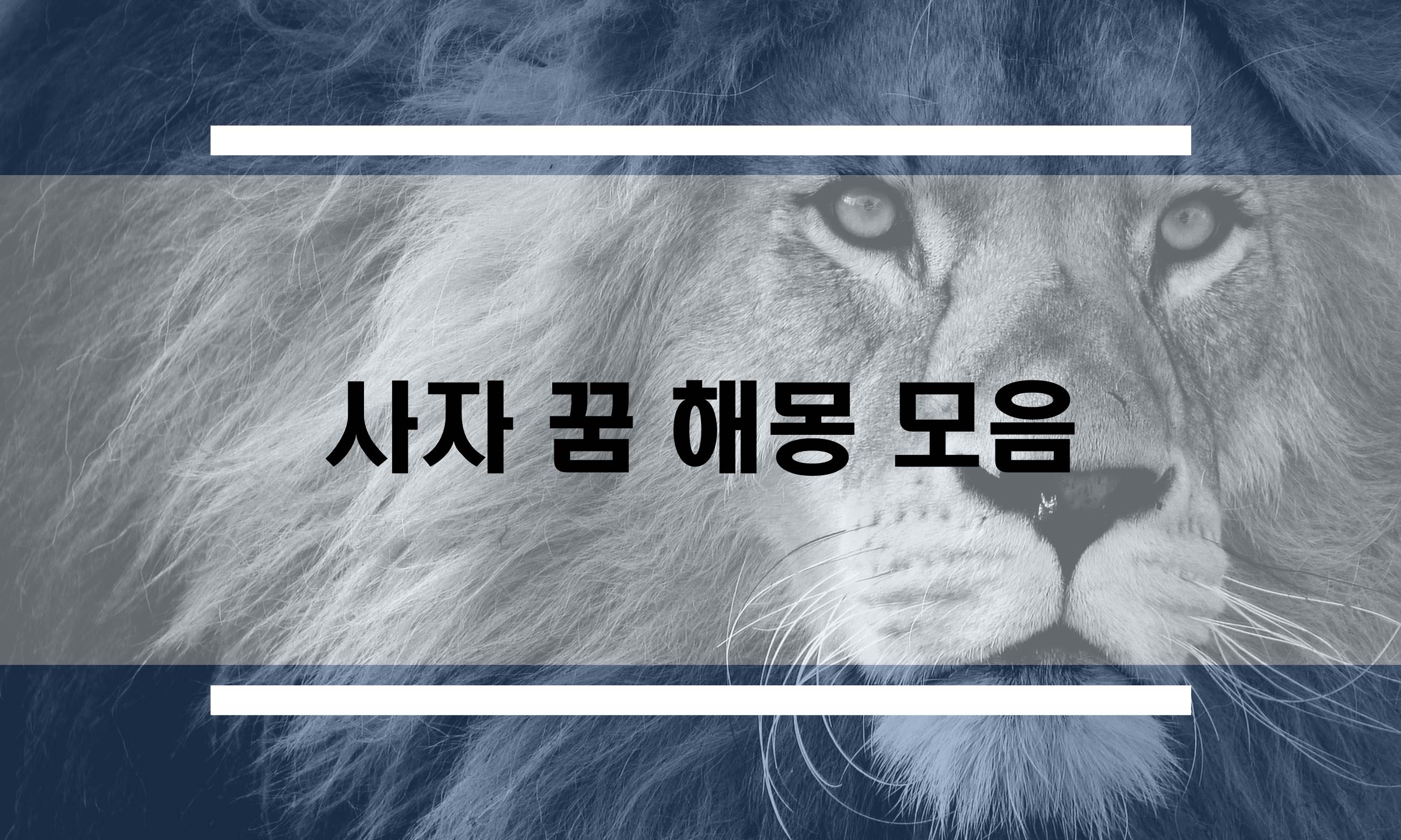  사자 태몽, 사자와 노는 꿈, 사자와 싸우는 꿈 등 사자꿈 무료 해몽 모음