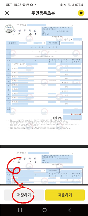초본19