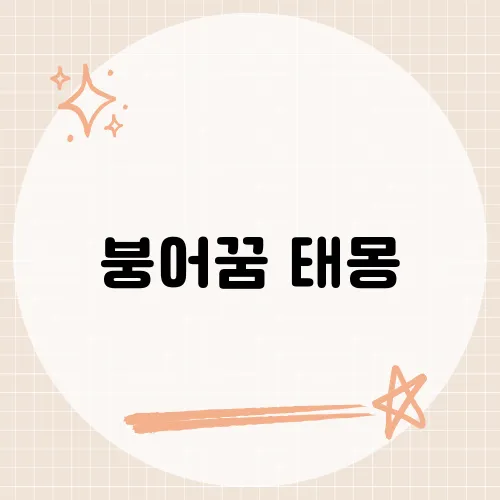 붕어꿈 태몽, 물속 금빛 행운일까?