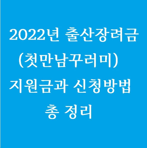 2022년_출산장려금_첫만남꾸러미_지원금_혜택별신청방법