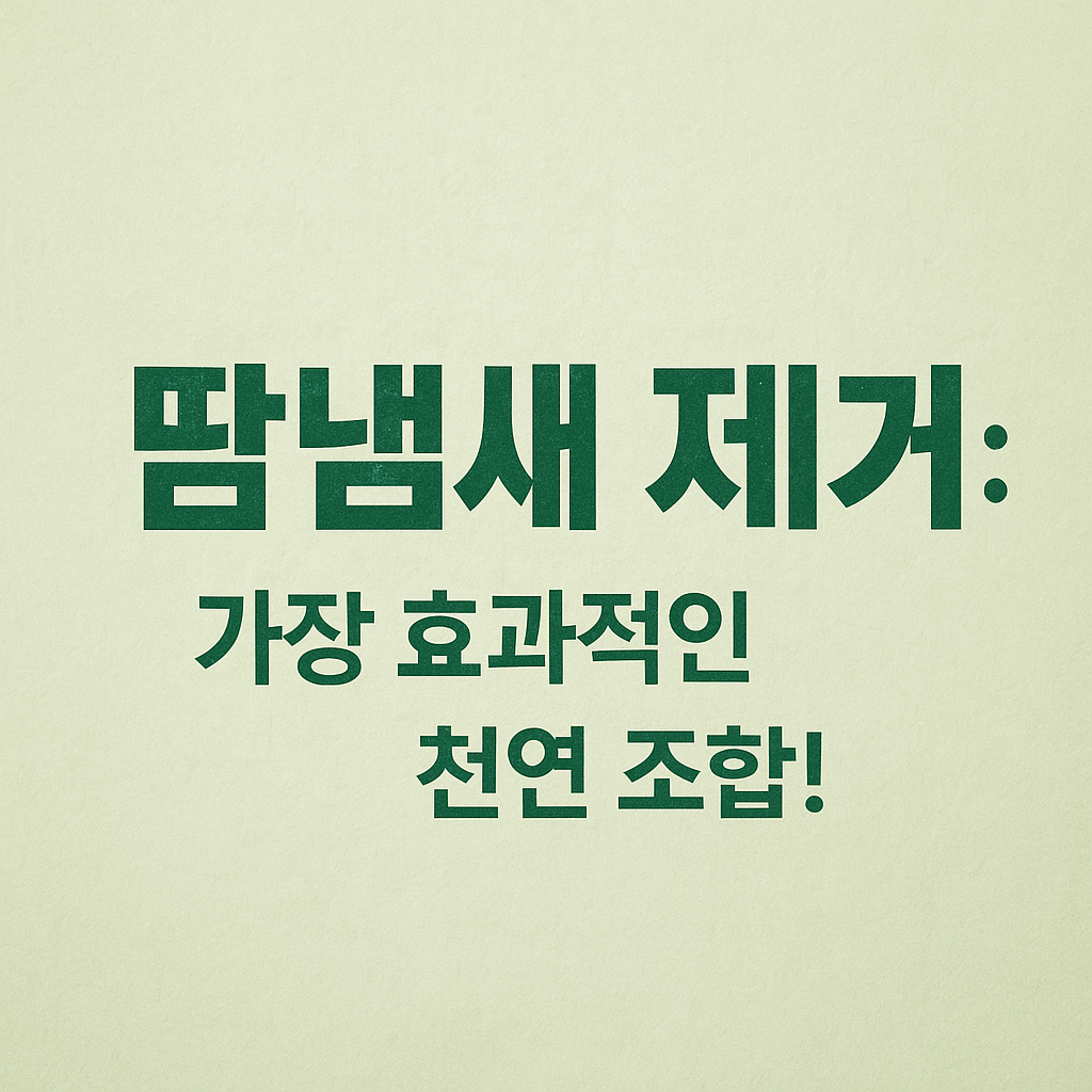 땀냄새제거효과적인천연조합