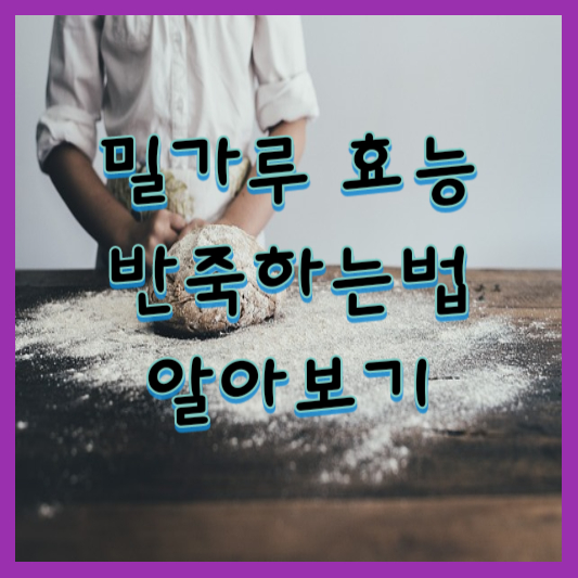  밀가루 효능, 반죽하는법 알아보기