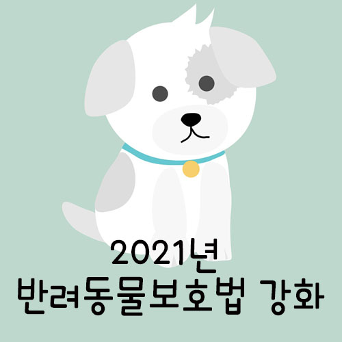  2021년 개정 및 강화된 동물보호법(알짜왕)