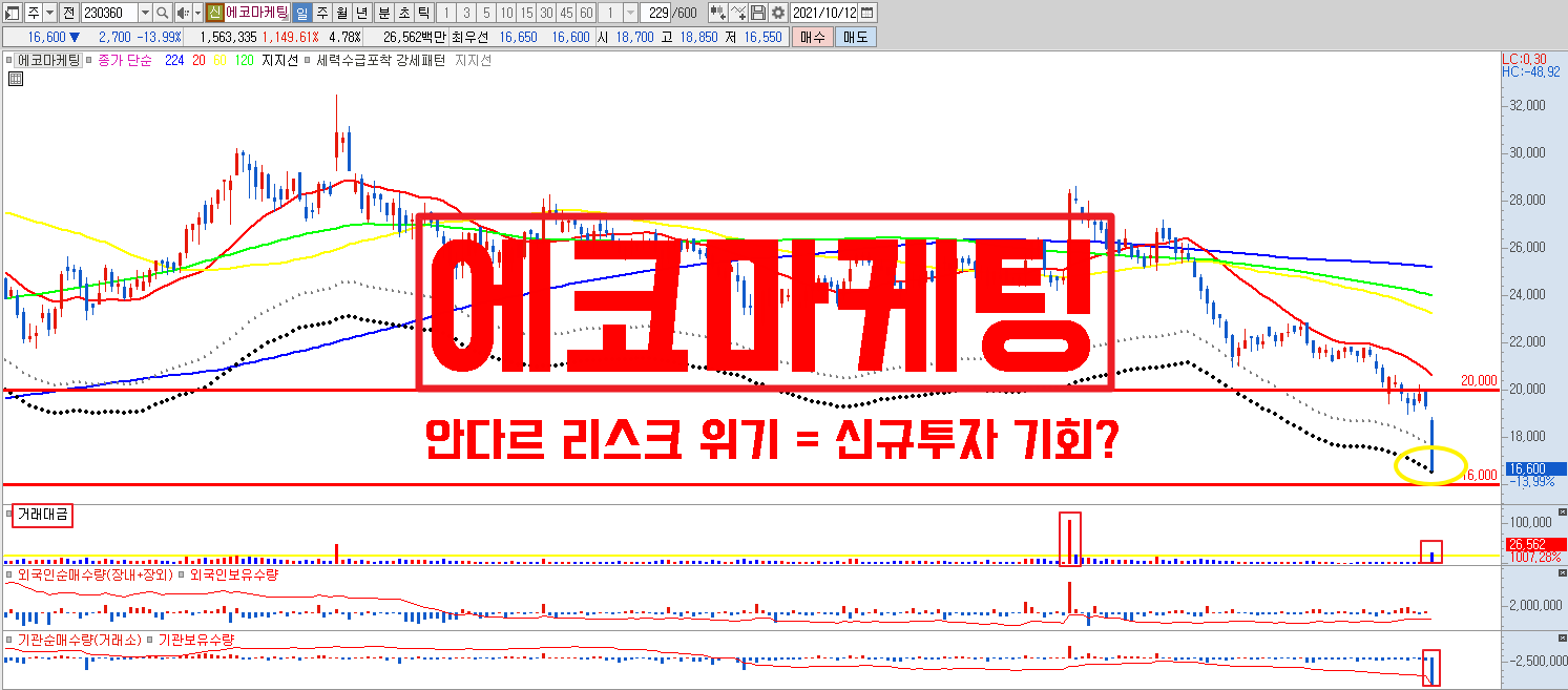  에코마케팅 주가 급락 안다르 리스크 위기 = 신규투자 기회?