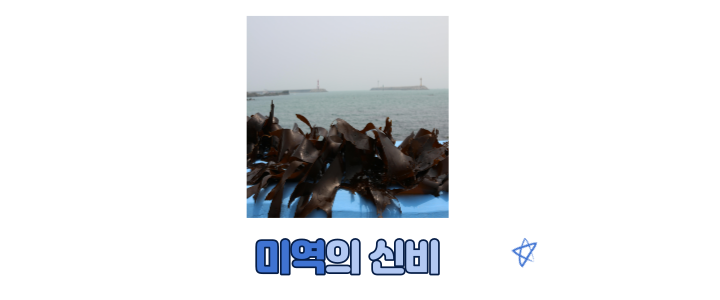  미역의 효능과 궁합이 잘 맞는 식품
