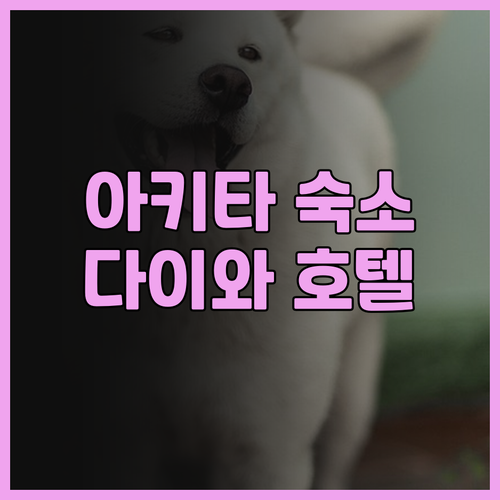 아키타 여행 필수 다이와 로이넷 호텔