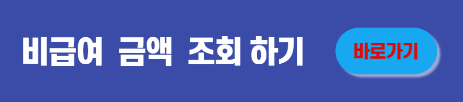 비급여 급액 조회하기