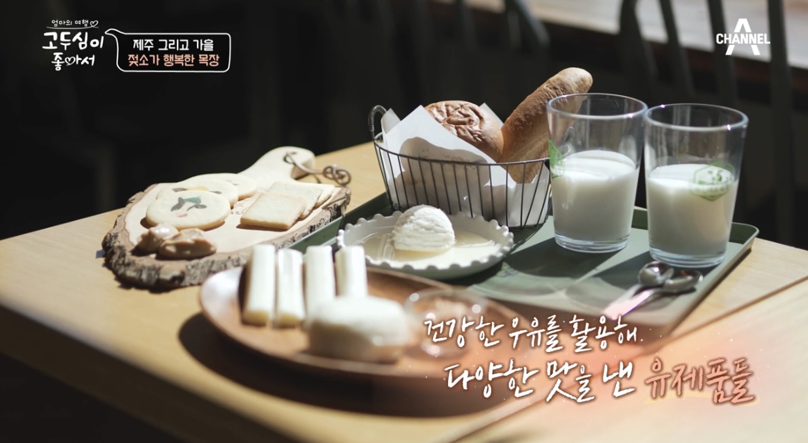  고두심이 좋아서 제주 목장 우유 치즈 요구르트 우유잼 우유 카이막 유제품 파는곳 어디 젖소가 행복한 목장 송아지 우유주기 체험 이성철 목장 위치 정보 29회 카이막이 뭐지?