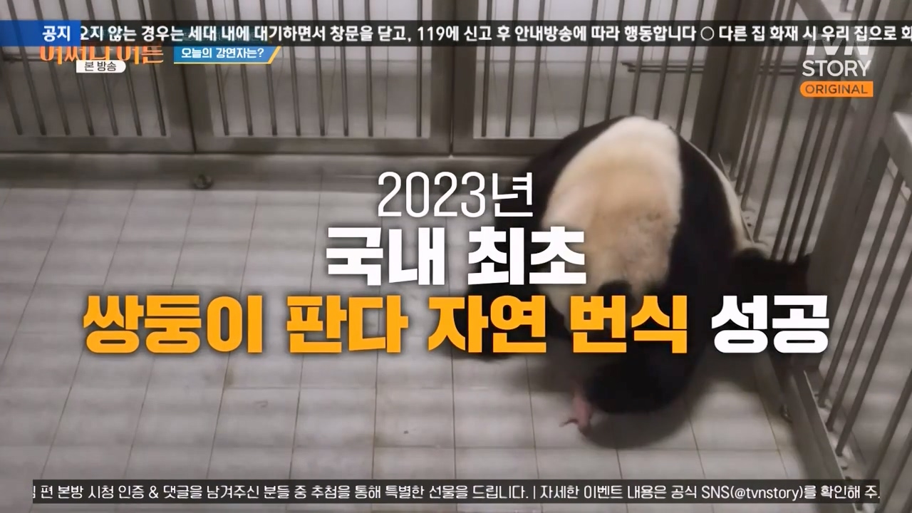 어쩌다 어른.E41.240131p-NEXT.mp4_20240201_200218.425.jpg