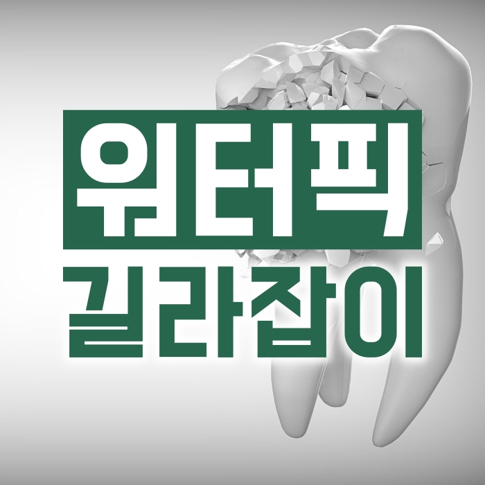  워터픽 유용할까?