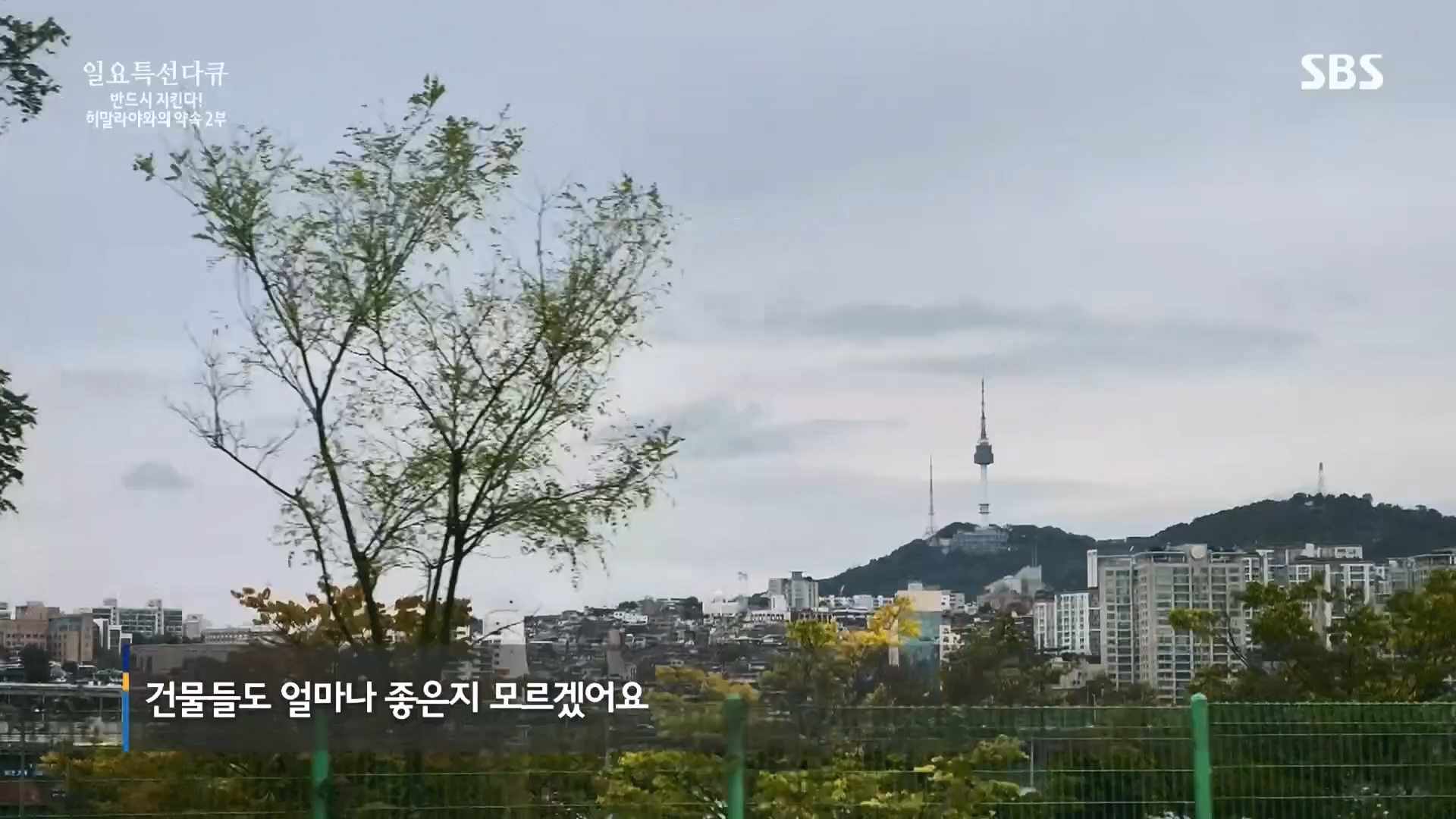 일요 특선 다큐멘터리.E334.231231p.H264-F1RST.mp4_20231231_151958.020.jpg