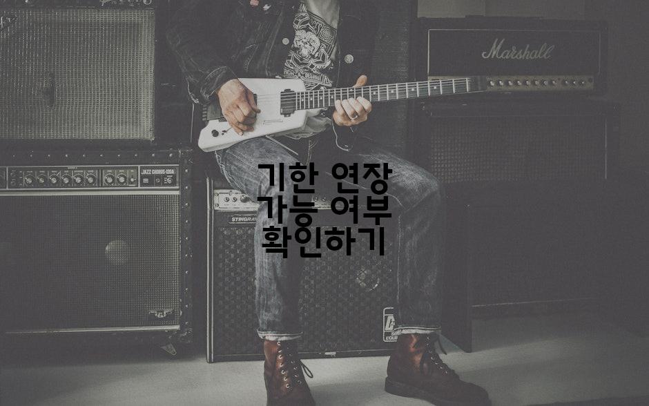 기한 연장 가능 여부 확인하기
