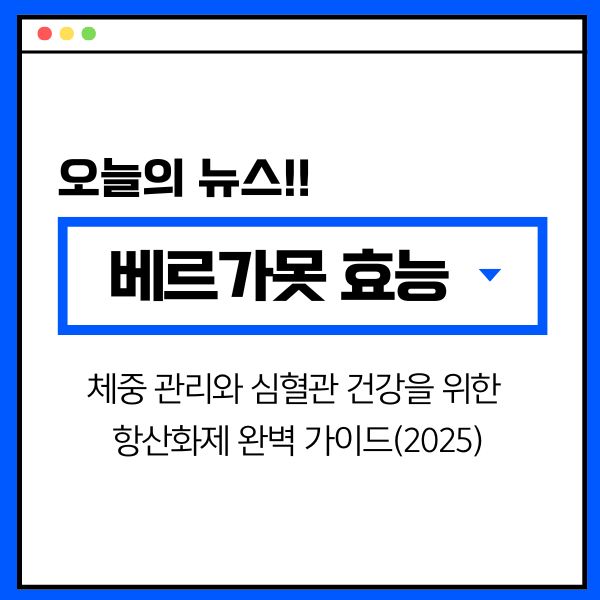 베르가못 효능: 체중 관리와 심혈관 건강을 위한 항산화제 완벽 가이드(2025)