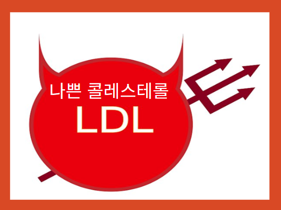 고지혈증 - 저밀도 콜레스테롤(LDL)&amp;#44; 나쁜 콜레스테롤