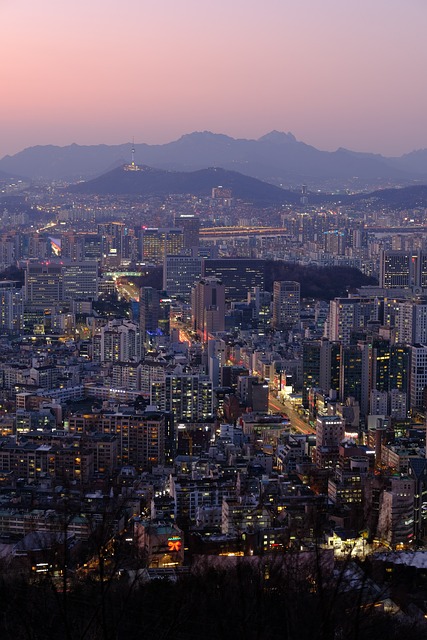 여름강남여행