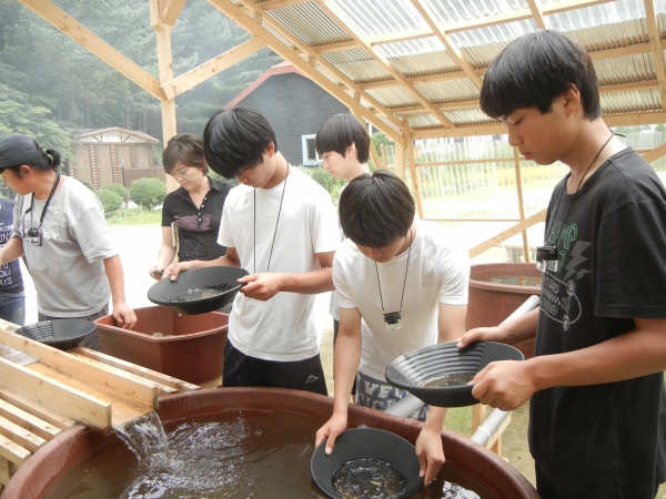 사금 채취 행사