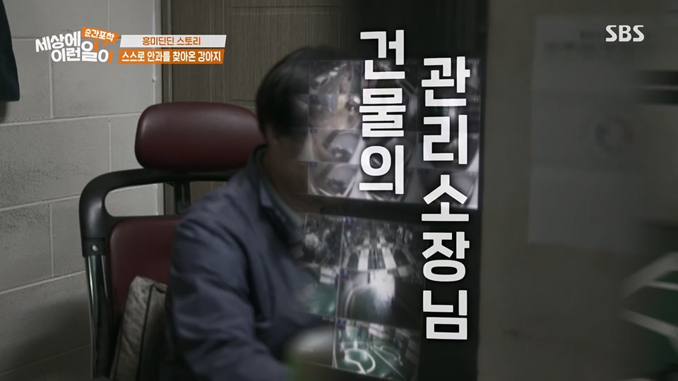 순간포착 세상에 이런일이.E1233.230617p.H264-F1RST.mp4_20230618_175949.673.jpg