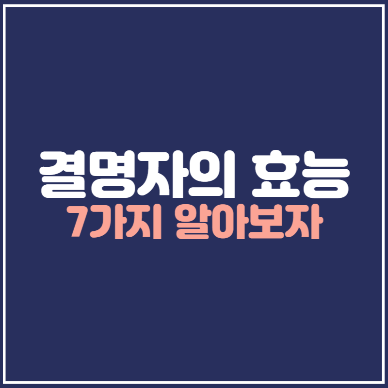 결명자의 효능