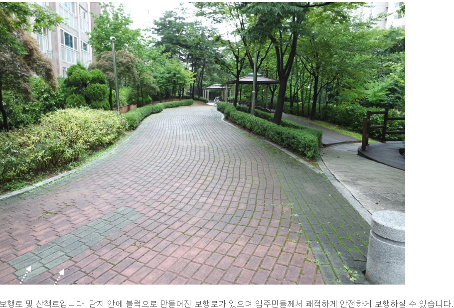 티스토리