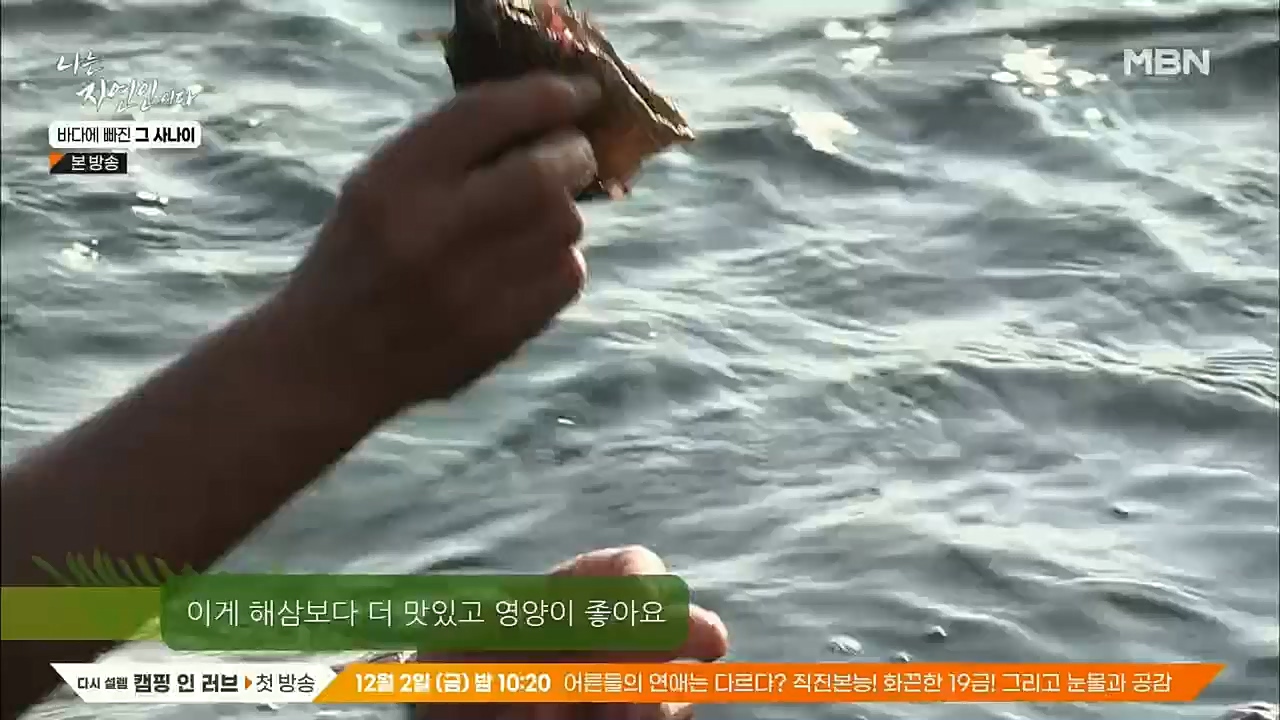 나는 자연인이다.E530.221131p.H264-F1RST.mp4_20221201_212045.821.jpg