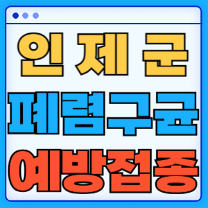 강원도 인제군 폐렴구균 백신 무료 예방접종 비용지원 가격 신청방법 대상자 간격 13가 15가 20가 23가