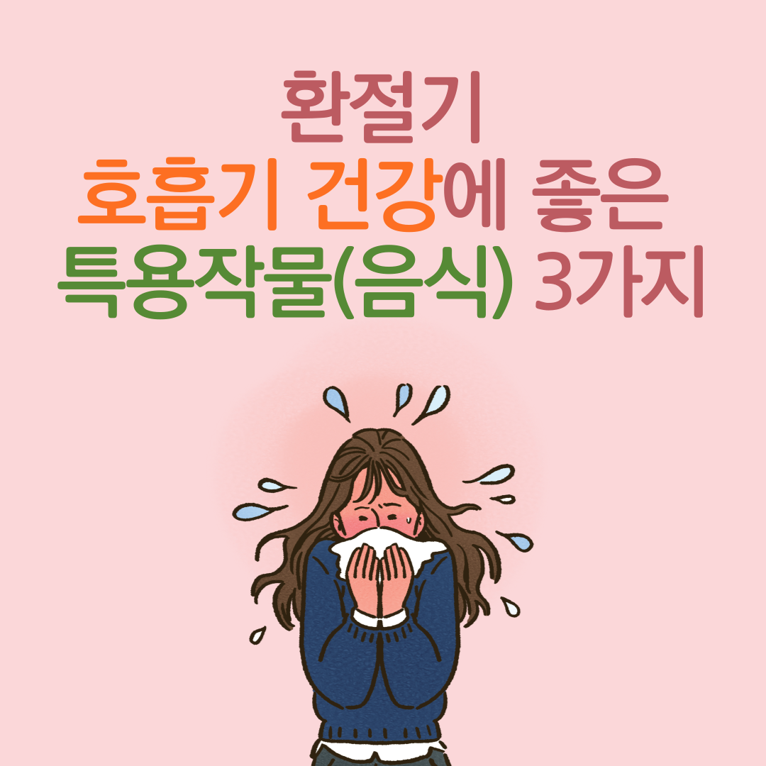 환절기 호흡기 건강에 좋은 특용작물 음식 3가지 코로나 독감 미세먼지 폐렴 결핵