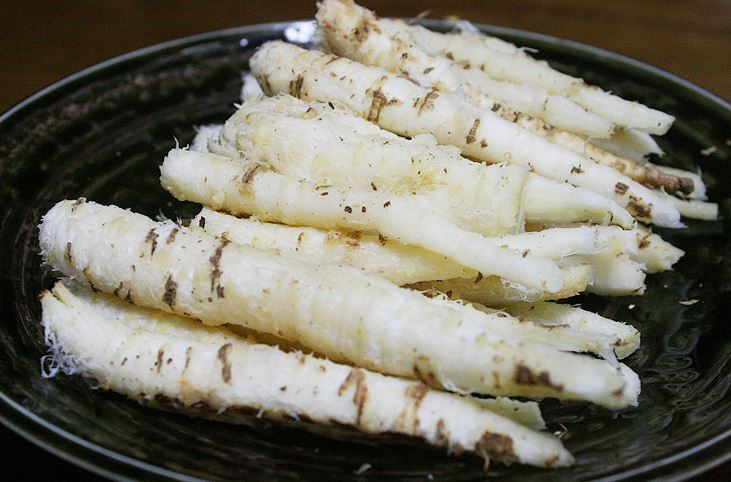  더덕 효능 칼로리 알려드림