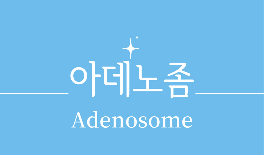 &#39;아데노좀(Adenosome)&#39;