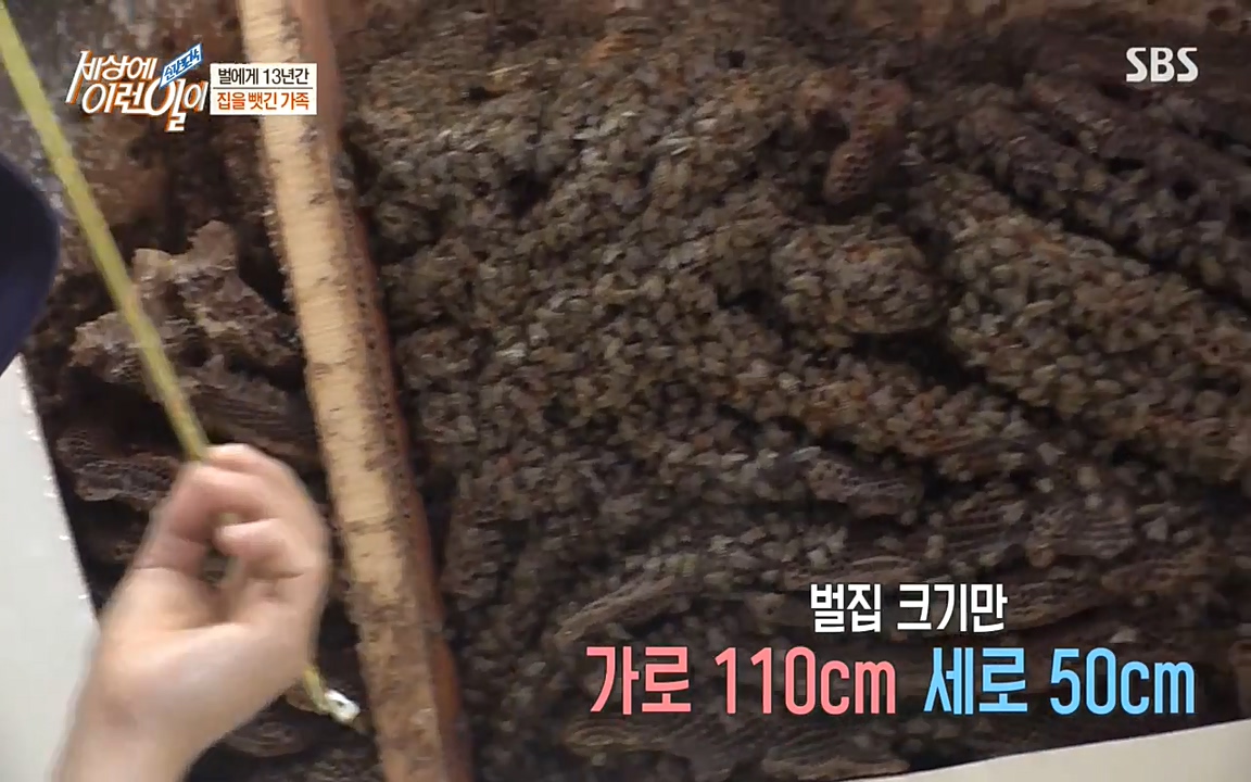 순간포착 세상에 이런일이.E1183.220608p-NEXT.mp4_20220608_200313.065.jpg