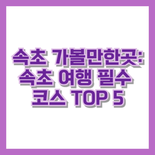 속초 가볼만한곳: 속초 여행 필수 코스 TOP 5