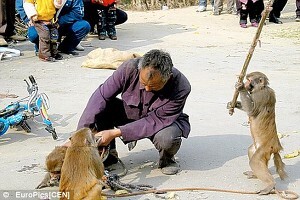   뚜뚜월드