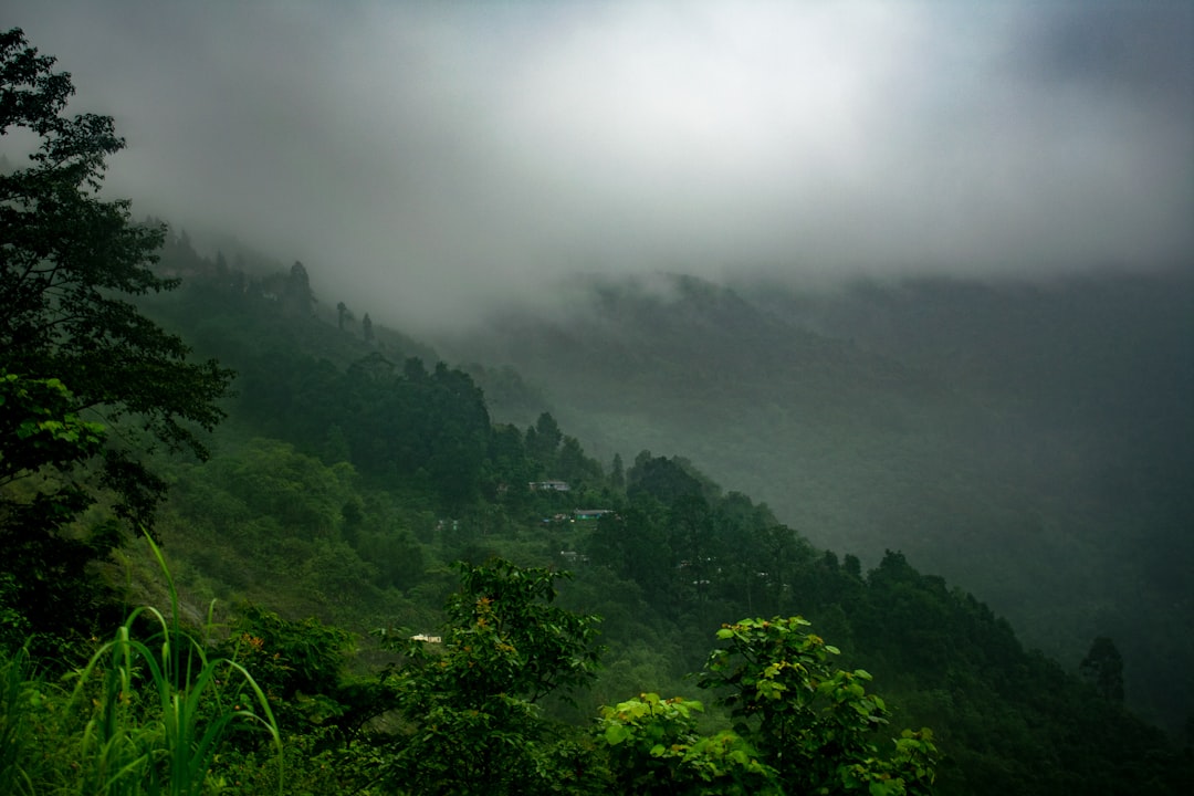 Monsoon