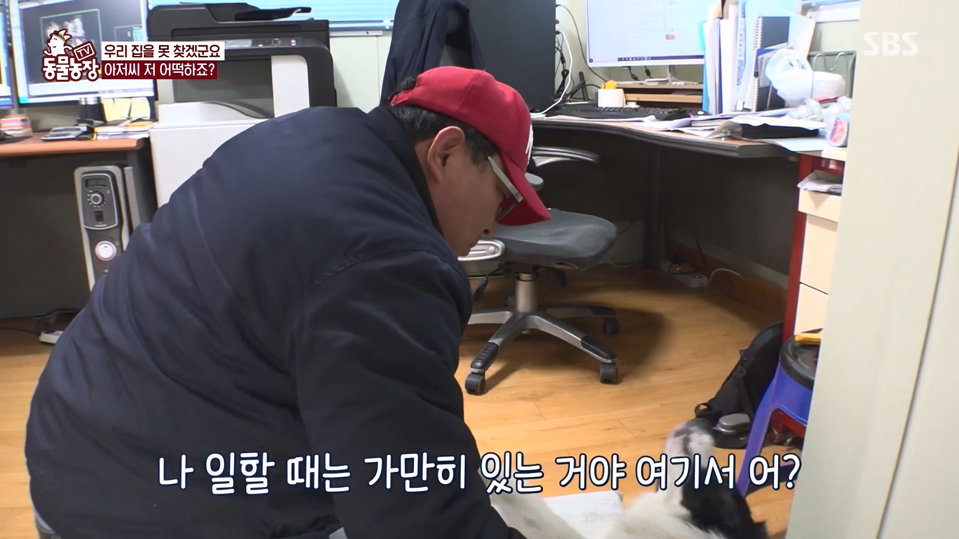 TV 동물농장.E1161.240303p-NEXT.mp4_20240303_172258.997.jpg