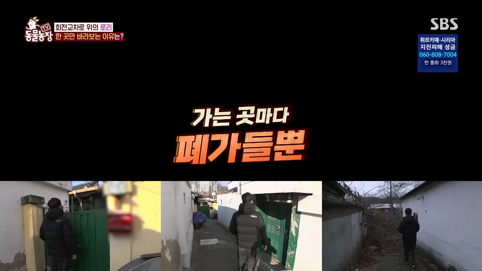 TV 동물농장.E1109.230219p.H264-F1RST.mp4_20230219_142847.353.jpg