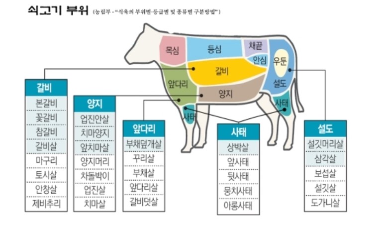 소고기 부위