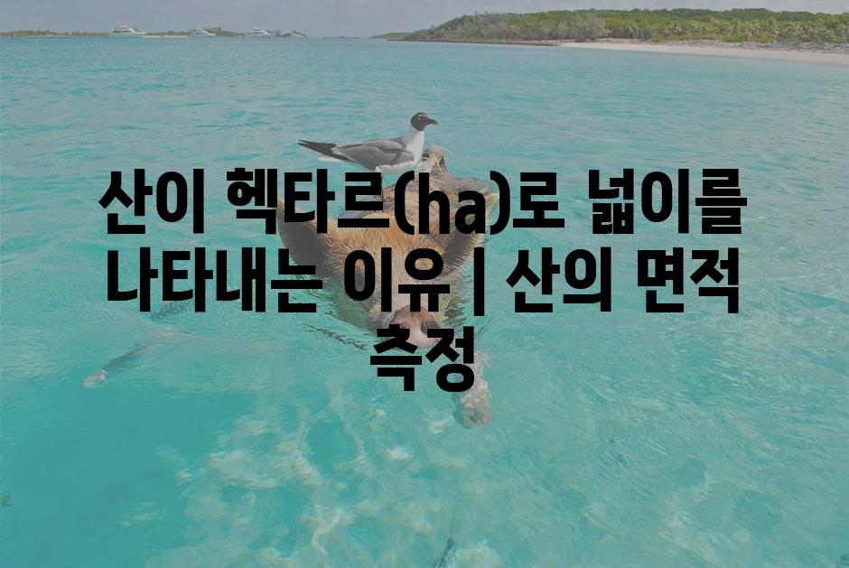 샘플 (1)