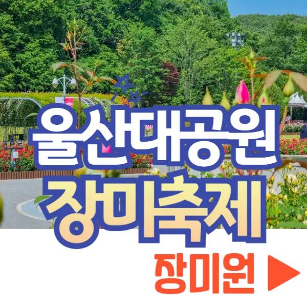 울산대공원 장미축제