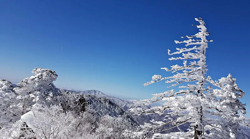 지리산 설경 상고대