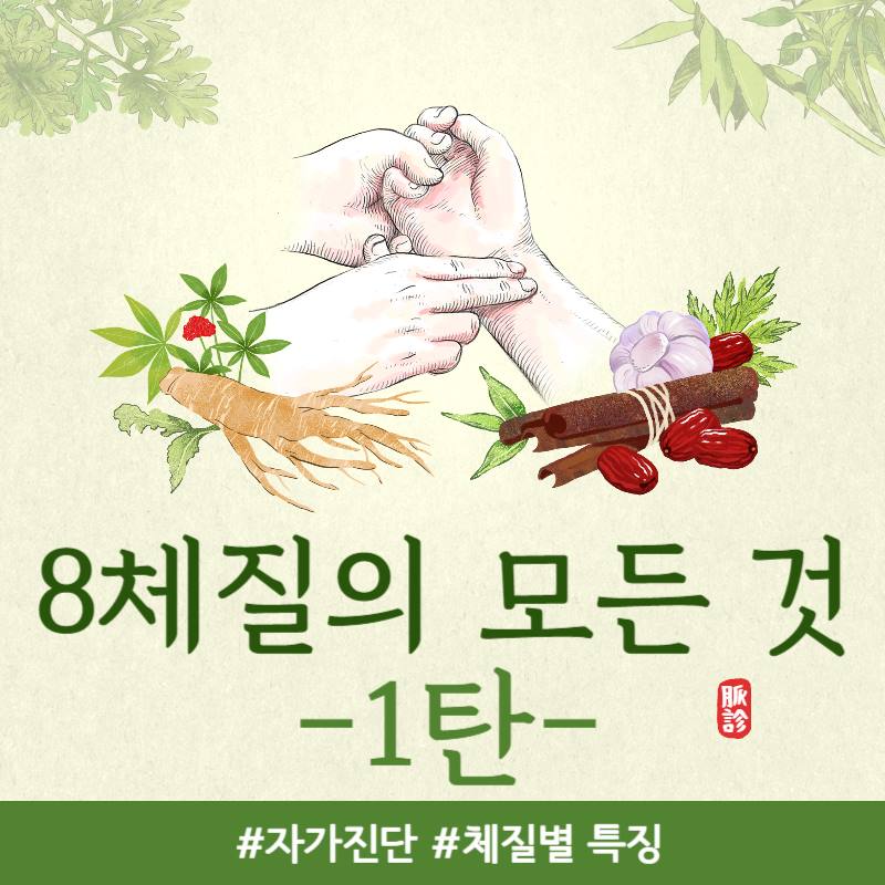  [8체질의 모든 것 1탄] 8체질이란? 자가진단 방법, 대전/대구 8체질 한의원 추천