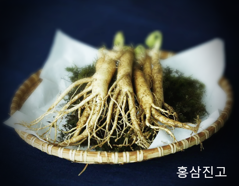  홍삼진고와 진세노사이드 함량