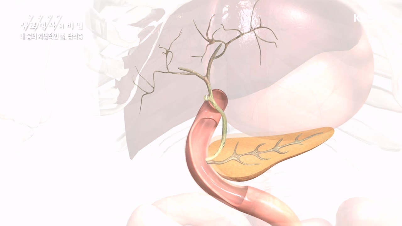 생로병사의 비밀.E886.231019p-NEXT.mp4_20231019_203454.714.jpg