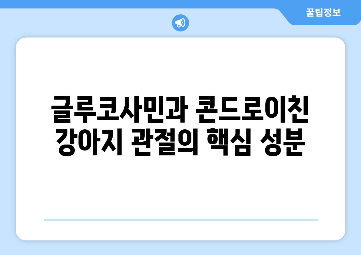 글루코사민과 콘드로이친 강아지 관절의 핵심 성분