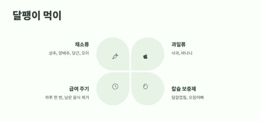 달팽이 키우기 완벽 정리 5