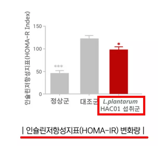 Hac01 인슐린 저항성 감소