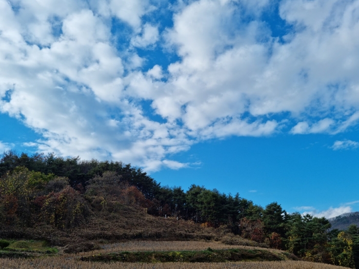 안동지원2021타경1820 본건 전경