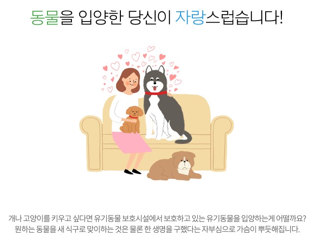유기견, 유기묘 무료분양 정보 동물보호관리시스템 사이트 바로가기 유기견, 유기묘 무료분양 정보 동물보호관리시스템 사이트 바로가기