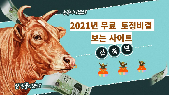  2021년 무료 토정비결 보는 사이트